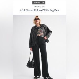A&F Sloane Tailored Wide Leg Pant - Size 27R - Black
